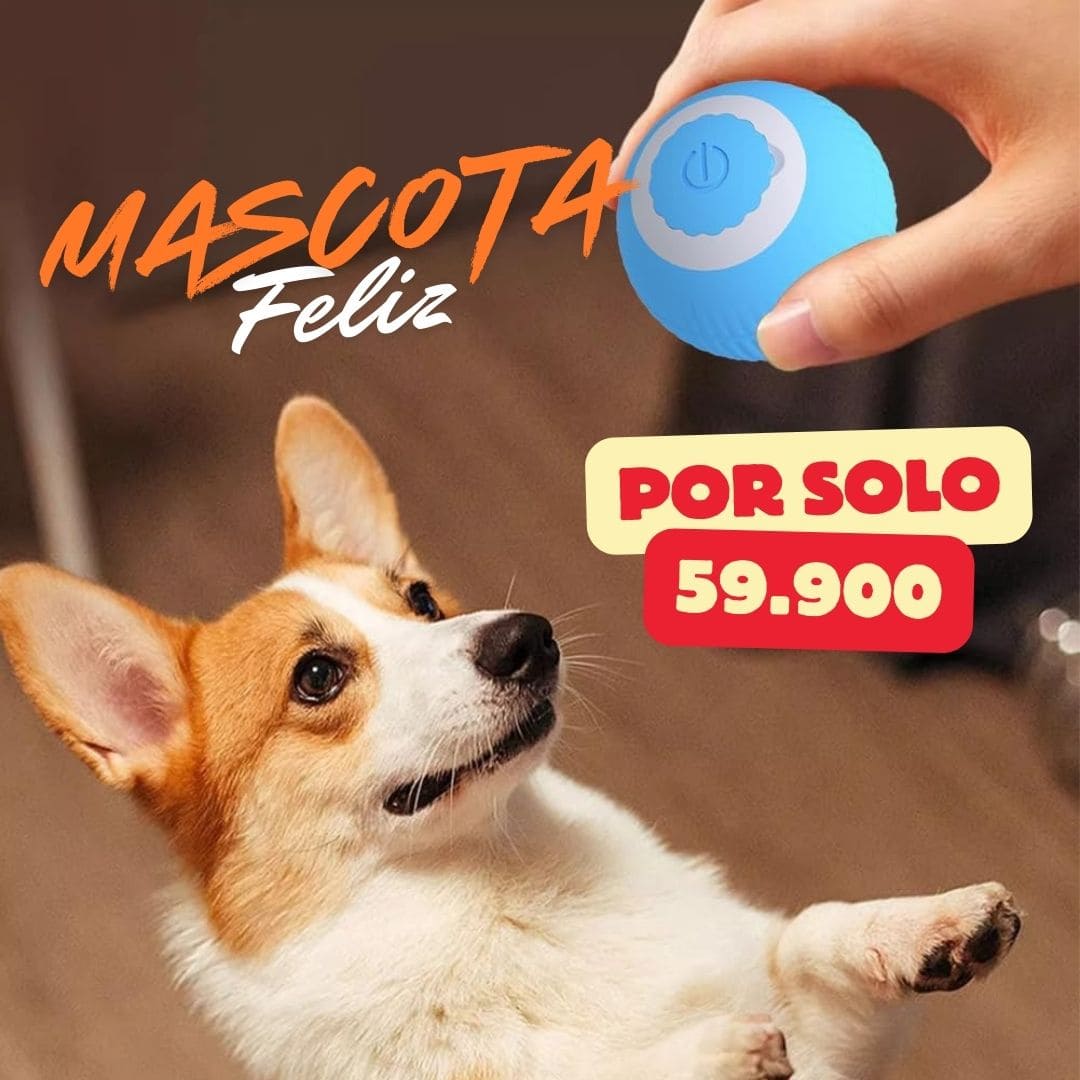 PELOTA INTELIGENTE PARA MASCOTAS 🐶😺